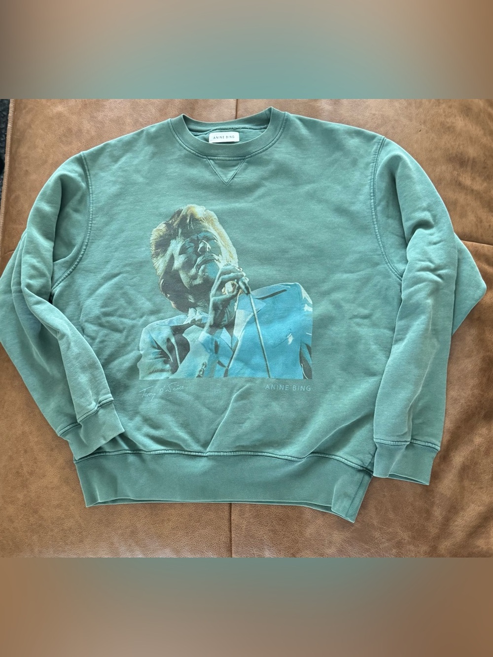 Anine Bing Bowie Ramona Teal Graphic Crewneck Sweatshirt